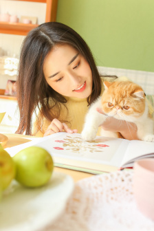 人尽可夫