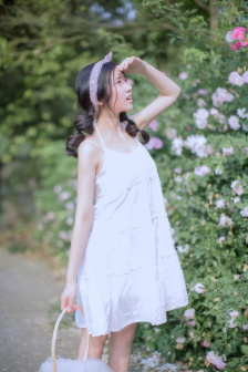 首辅养成手册